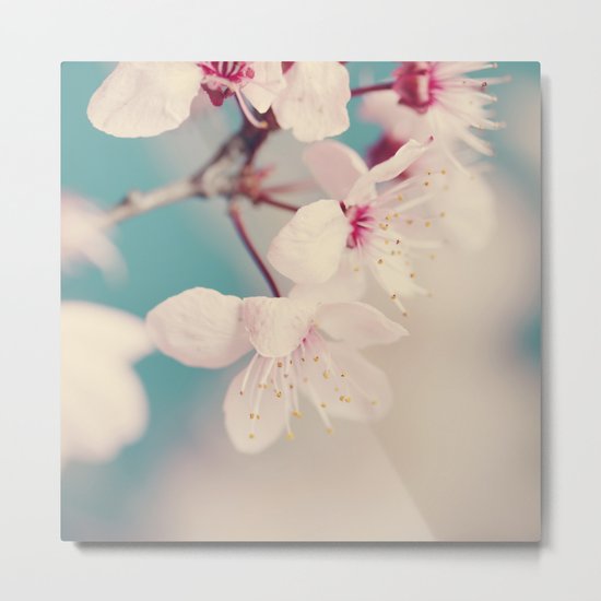 spring blossoms II Metal Print