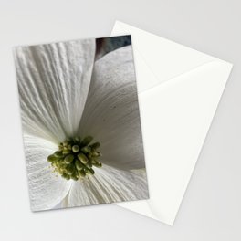 Dogwood Bloom Stationery Cards