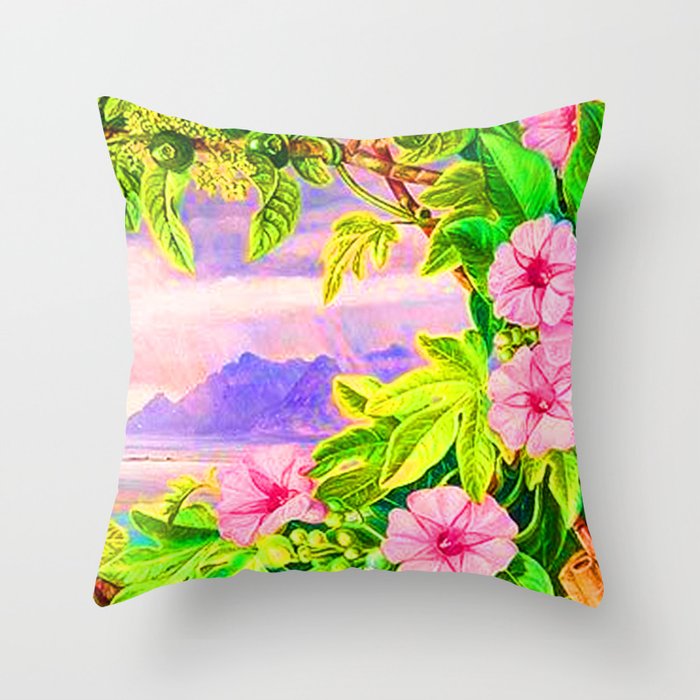 beautiful pillows decorative throw pillows