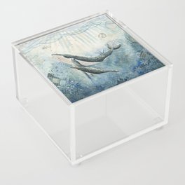 The Voyage Home Acrylic Box