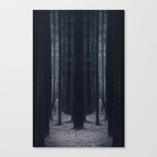 They always watch Canvas Print