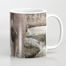 Elephant at the Montgomery Zoo it was established in 1920 as part of Oak Park Coffee Mug