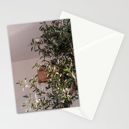 Olive Tree Still Live - Mediterranean Style Interior Photograph - Nature & Interior Photography Stationery Card