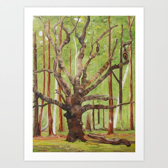 Ancient Oak Art Print