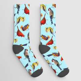 punk birds socks -blue Socks