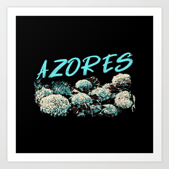 Azores, Azores hydrangeas illustration Art Print