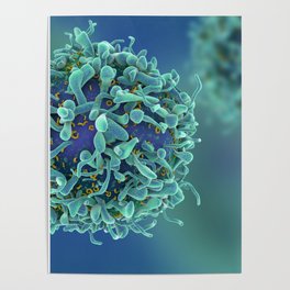 "SHALLOW T-CELL" Pattern MICROSCOPIC IMAGE CELLS ...Micro Poster