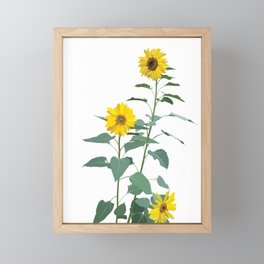 Native Southwest Sunflowers Framed Mini Art Print
