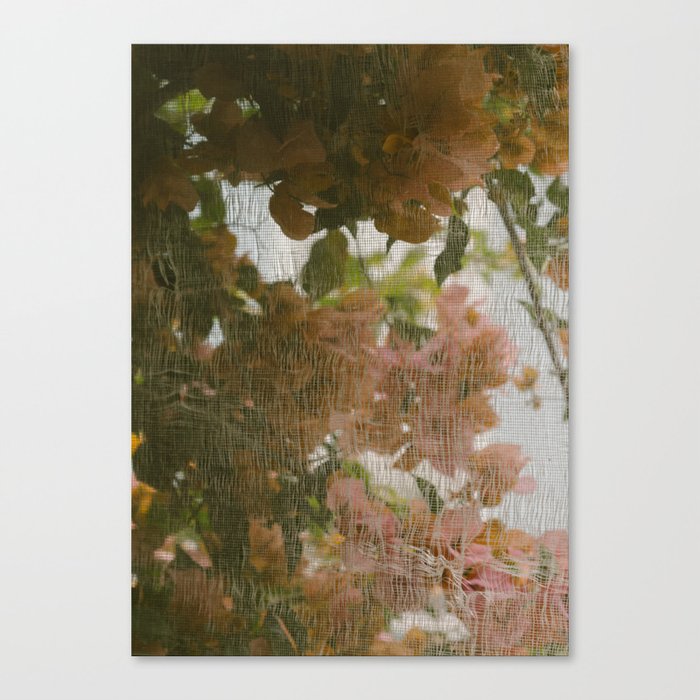 Window Flowers Canvas Print