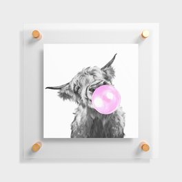 Bubble Gum Highland Cow Black and White Floating Acrylic Print