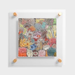 Clown fish and Sea anemones Floating Acrylic Print