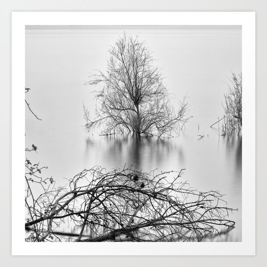 "Peace Tree". Sunrise at the lake Art Print