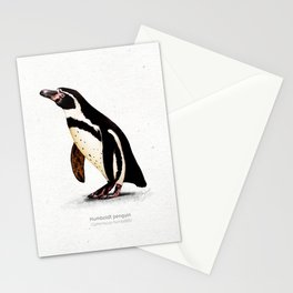 Humboldt penguin scientific illustration art print Stationery Card