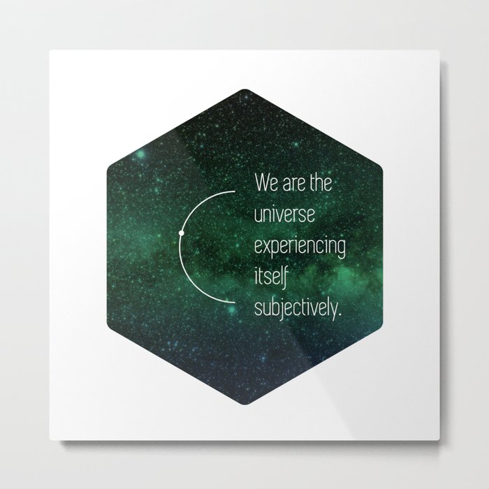 We are the universe Metal Print