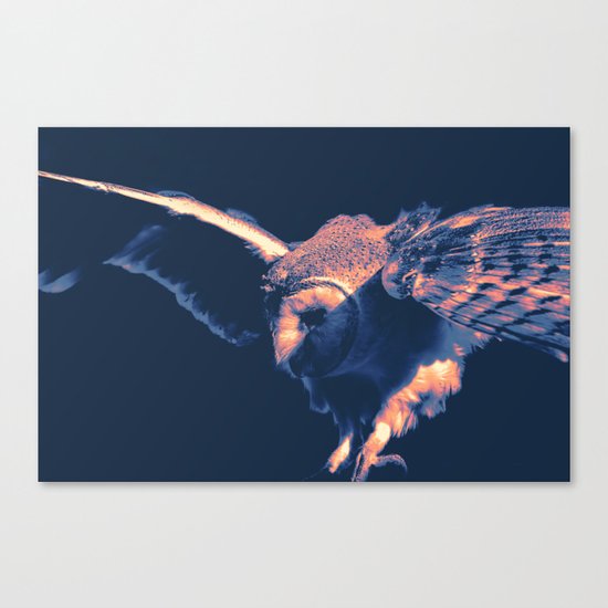 Night Owl Canvas Print