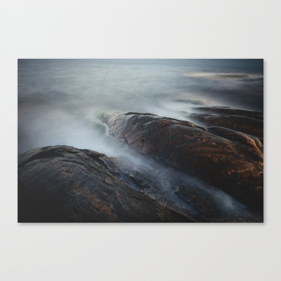 Creatures of the sea Canvas Print