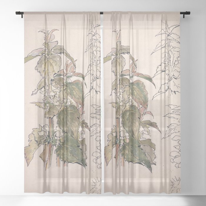 Sheer Curtain