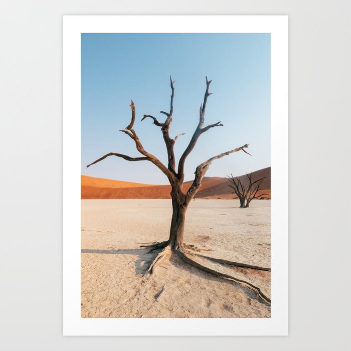 Deadvlei around sunset, Naukluft national park | Namibia landscape travel photography Art Print