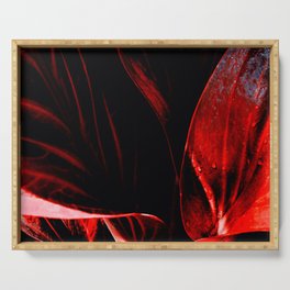 Anthurium leaves In Bright Red Crimson Serving Tray