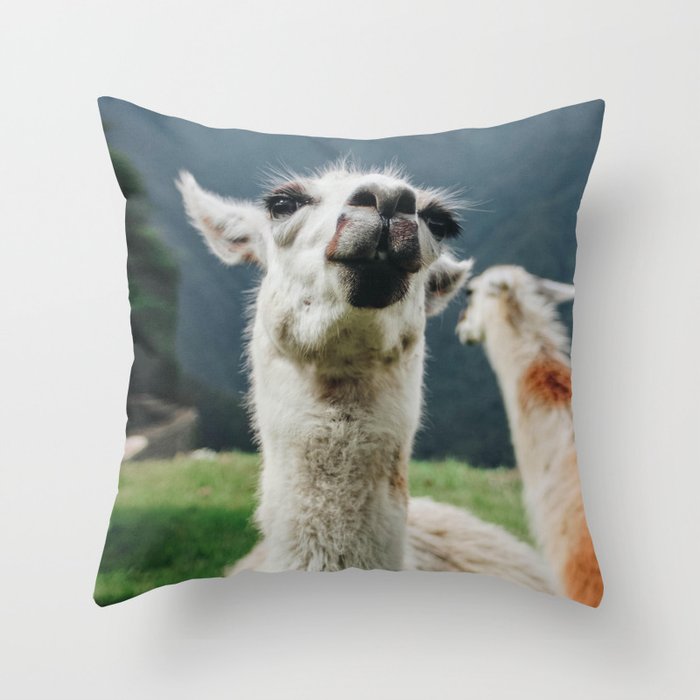 Llama Love Throw Pillow