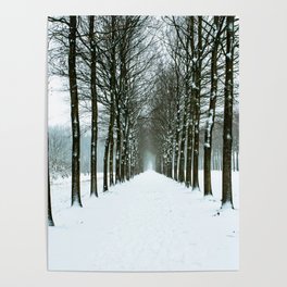 snowy path Poster