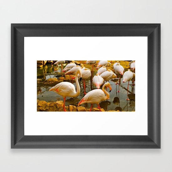 flamingo Framed Art Print