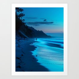 Californian beach Art Print