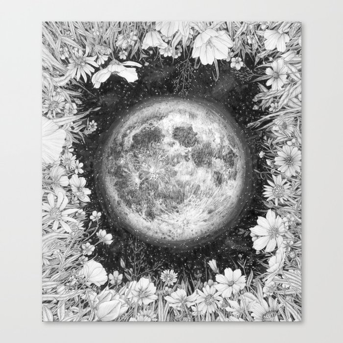 Midnight Moon in the Garden Canvas Print