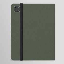 Copper Pyrite Green iPad Folio Case