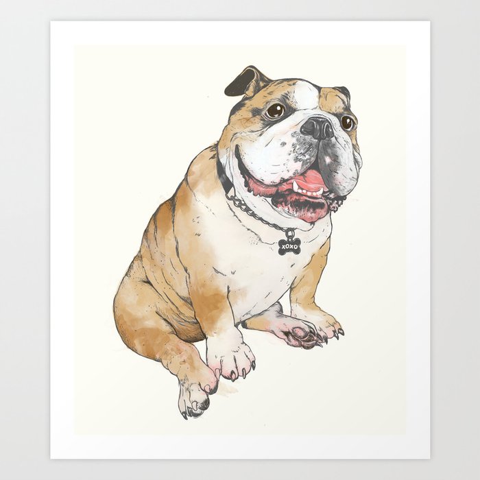 bulldog  Art Print
