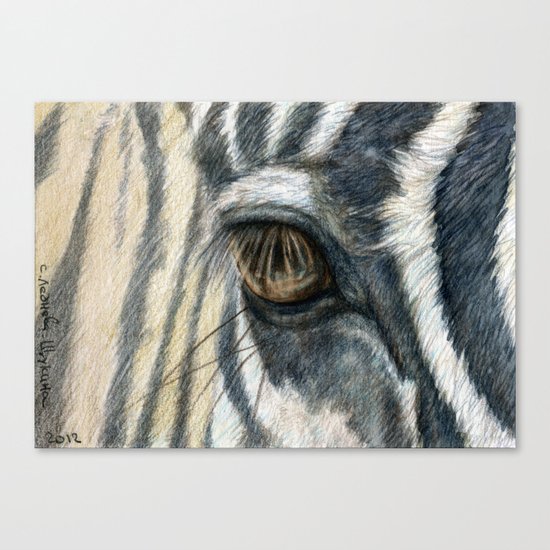 Zebra 808 Canvas Print