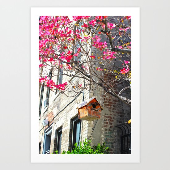 bird house Art Print