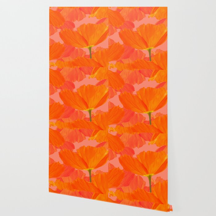 Beautiful Poppies Coral Color Background Decor Society6 Buyart Wallpaper By Pivivikstrm Society6