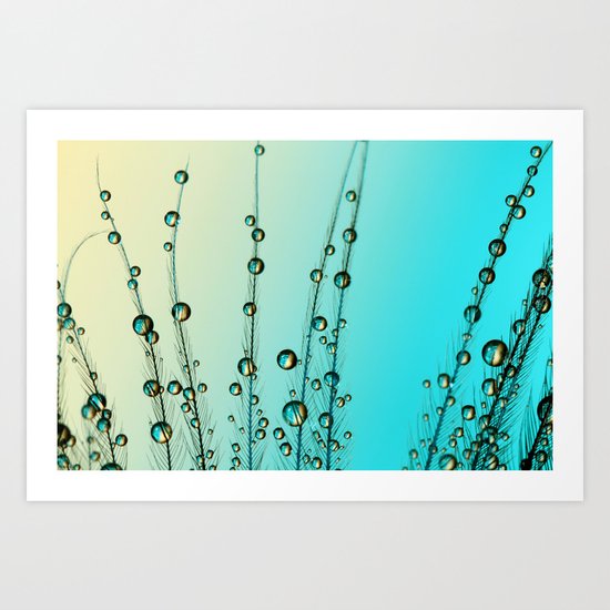 Feather Drops with Blue Art Print