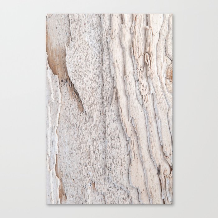 Wood Texture #1 #minimal #decor #art #society6 Canvas Print