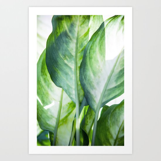 tropic abstract Art Print