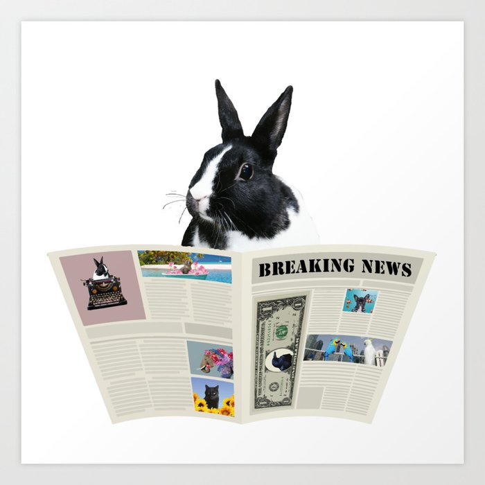 Newspaper Breaking News Bunny Rabbit - Author Writer Art Print