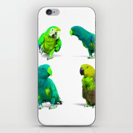 Adorable Parrot Bird Group iPhone Skin