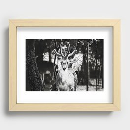 Spot Me - Realistic Deer Drawing Recessed Framed Print