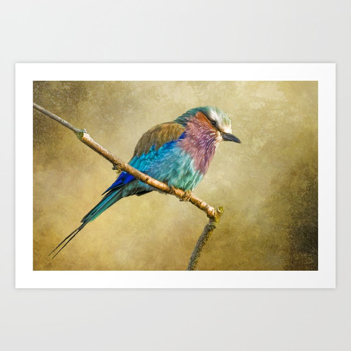 Lilac Breasted Roller Art Print by tarrby/Brian Tarr | Society6