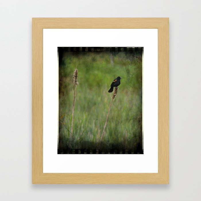 Black Bird Framed Art Print