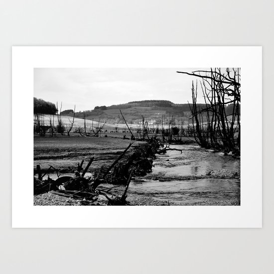 desert Art Print
