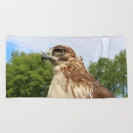 Red Tailed Hawk Beach Towel