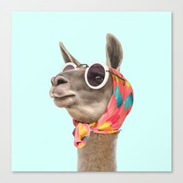 FASHION LAMA SQ Canvas Print