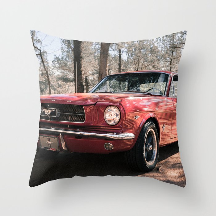 Throw Pillow