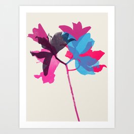 lily 22 Art Print
