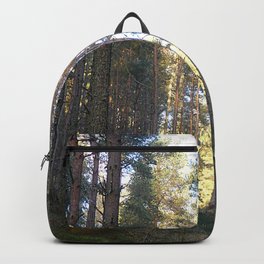 Scottish Highland Pine Forest Winter Sunlight Perspective Backpack
