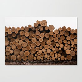 Minnesota Logs  Canvas Print