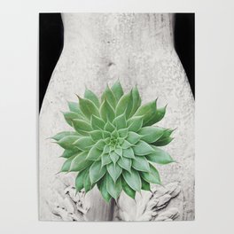 A Succulent Woman Poster