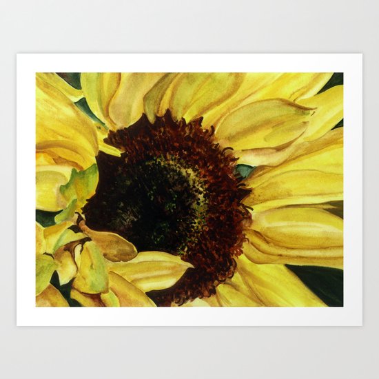 Sunflower Art Print